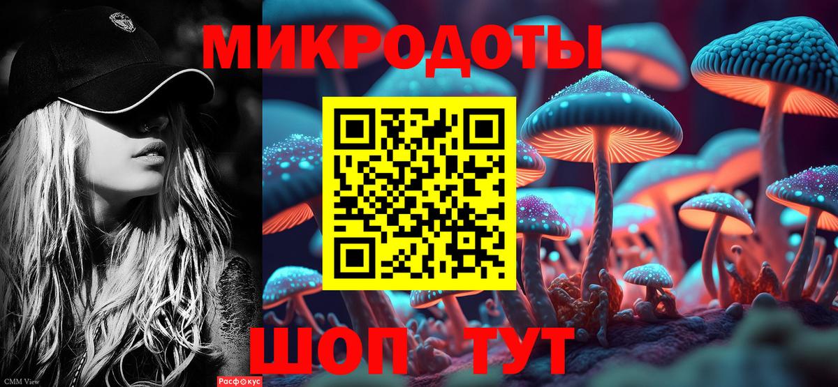 Псилоцибиновые грибы прущие грибы Острогожск