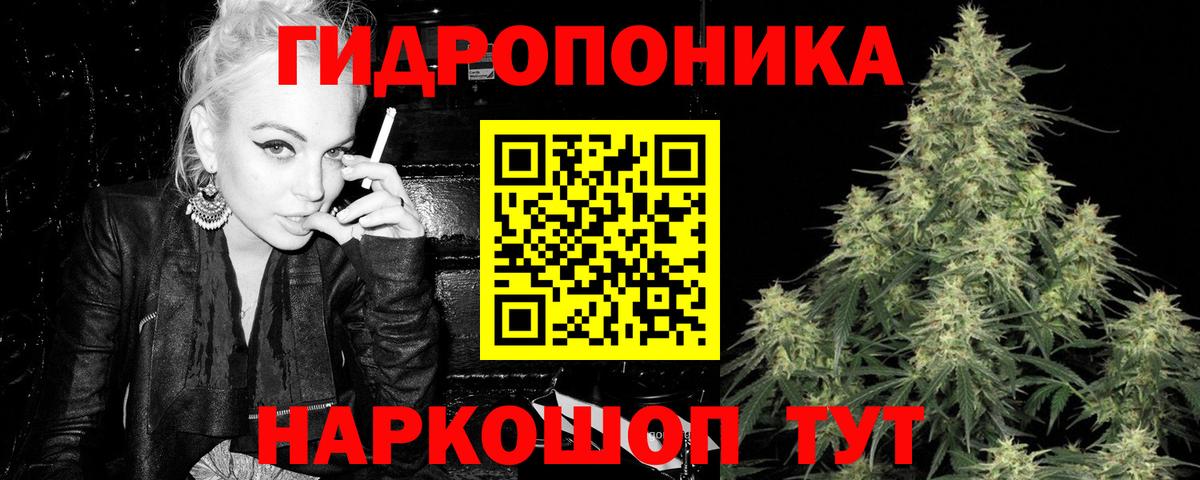 Бошки Шишки сатива Острогожск